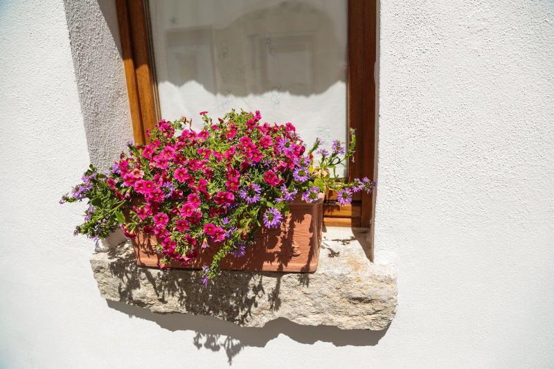 Olbia Domus Inn Екстериор снимка